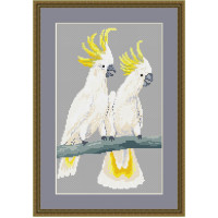Two Sulphur Crested Cockatoos cross stitch kit