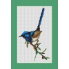 Superb Blue Fairy Wren cross stitch chart by Maureen Maguire.