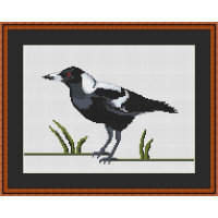 Australian Magpie cross stitch chart