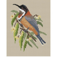 Eastern Spinebill cross stitch chart